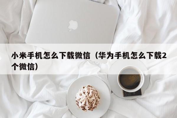 小米手机怎么下载微信（华为手机怎么下载2个微信）