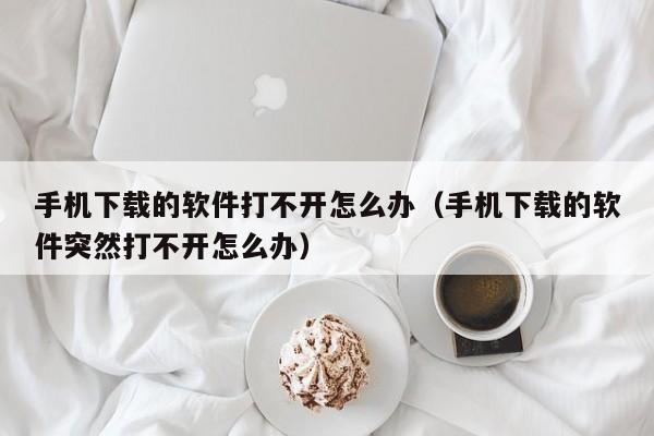 手机下载的软件打不开怎么办（手机下载的软件突然打不开怎么办）