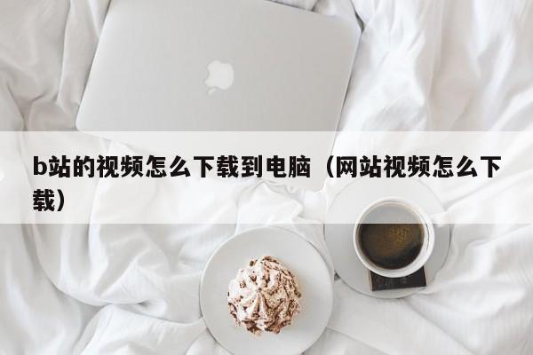 b站的视频怎么下载到电脑（网站视频怎么下载）