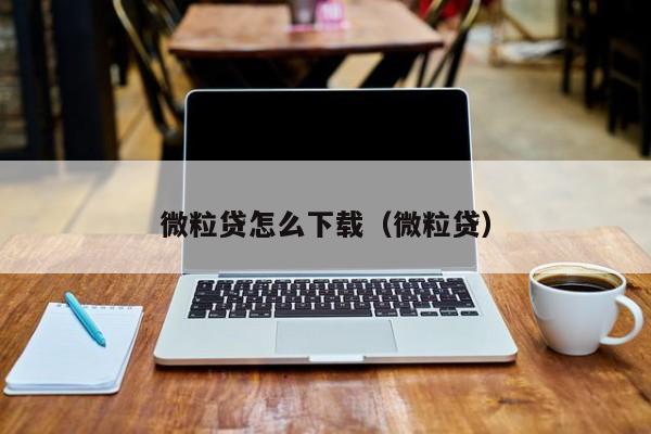 微粒贷怎么下载（微粒贷）