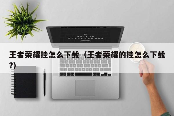 王者荣耀挂怎么下载（王者荣耀的挂怎么下载?）