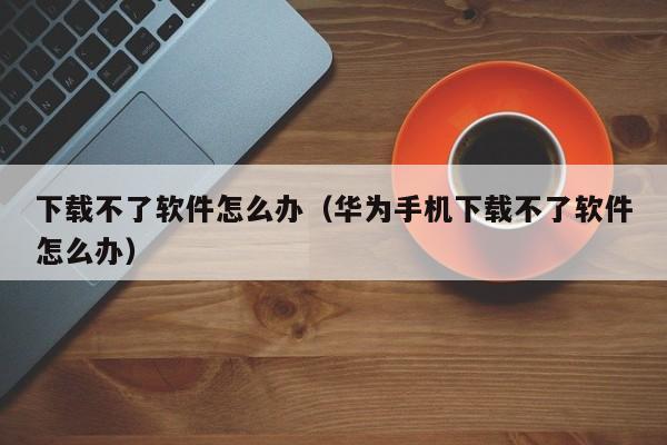 下载不了软件怎么办（华为手机下载不了软件怎么办）