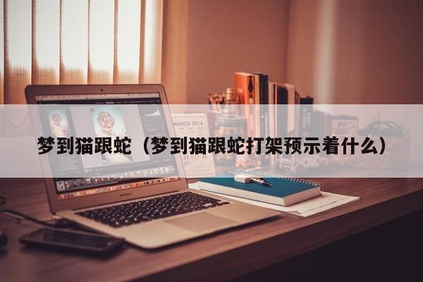 梦到猫跟蛇（梦到猫跟蛇打架预示着什么）