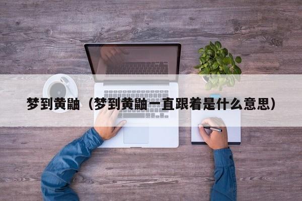 梦到黄鼬（梦到黄鼬一直跟着是什么意思）