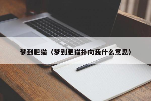 梦到肥猫（梦到肥猫扑向我什么意思）