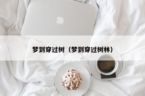梦到穿过树（梦到穿过树林）