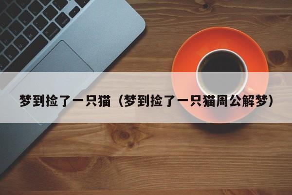 梦到捡了一只猫（梦到捡了一只猫周公解梦）