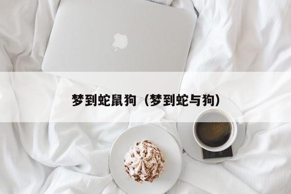梦到蛇鼠狗（梦到蛇与狗）