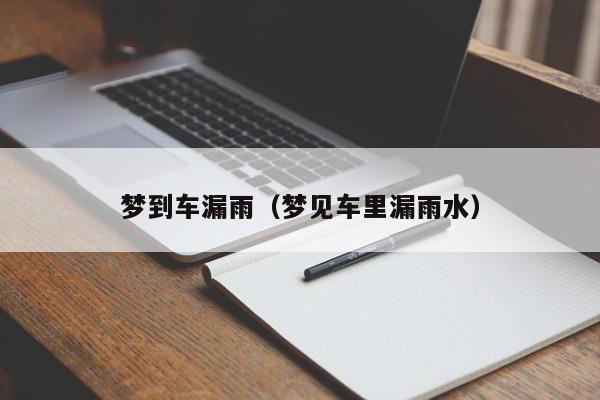 梦到车漏雨（梦见车里漏雨水）