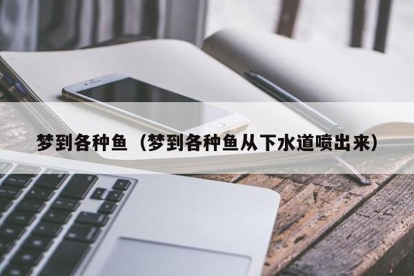 梦到各种鱼（梦到各种鱼从下水道喷出来）