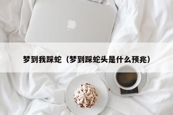 梦到我踩蛇（梦到踩蛇头是什么预兆）