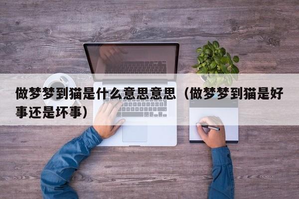 做梦梦到猫是什么意思意思（做梦梦到猫是好事还是坏事）