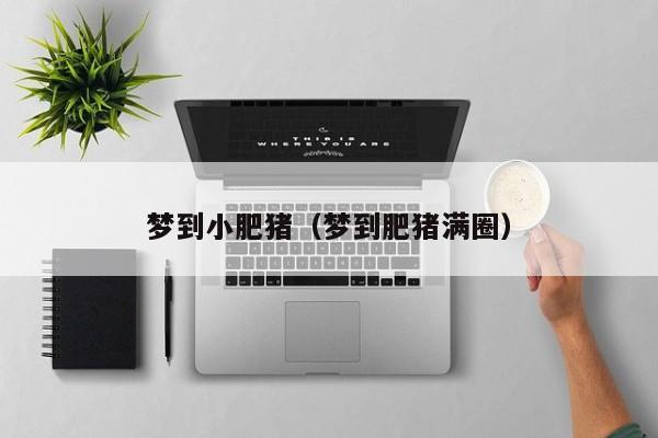 梦到小肥猪（梦到肥猪满圈）