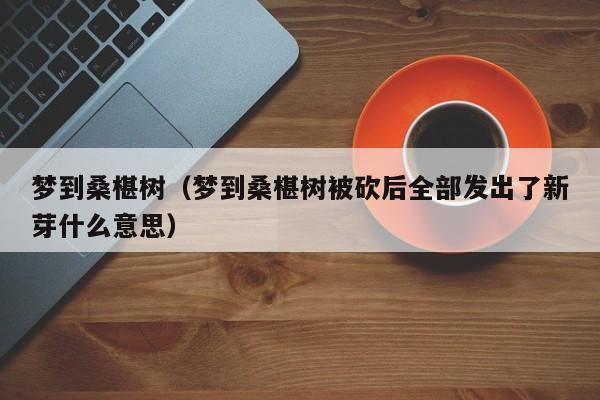 梦到桑椹树（梦到桑椹树被砍后全部发出了新芽什么意思）